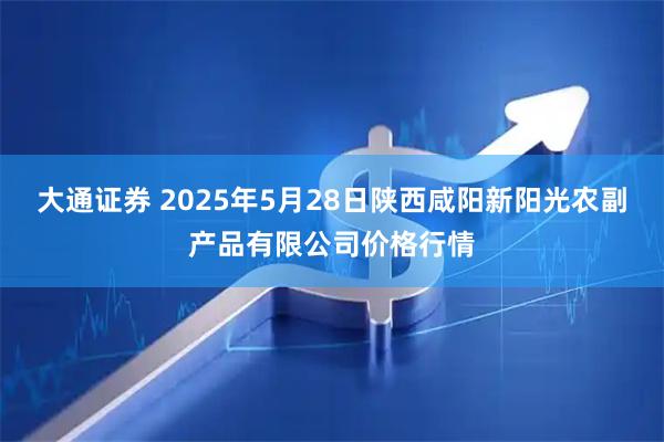 大通证券 2025年5月28日陕西咸阳新阳光农副产品有限公司价格行情