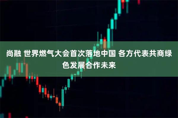 尚融 世界燃气大会首次落地中国 各方代表共商绿色发展合作未来